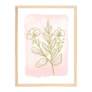 a picture of a plant with a pink background
