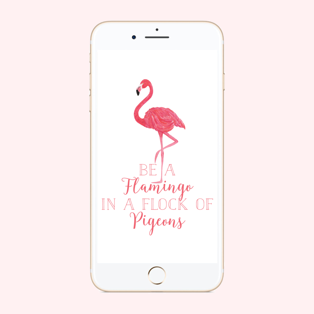 Be a Flamingo Phone Background